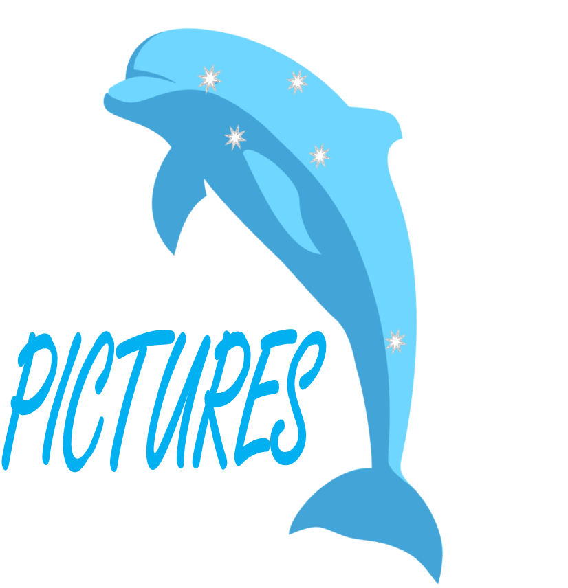 Pictures